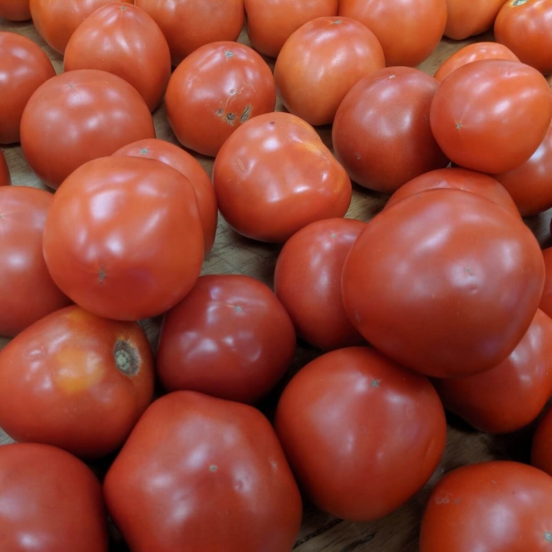Organic Tomato Powder (44 Lb. Wholesale Box)