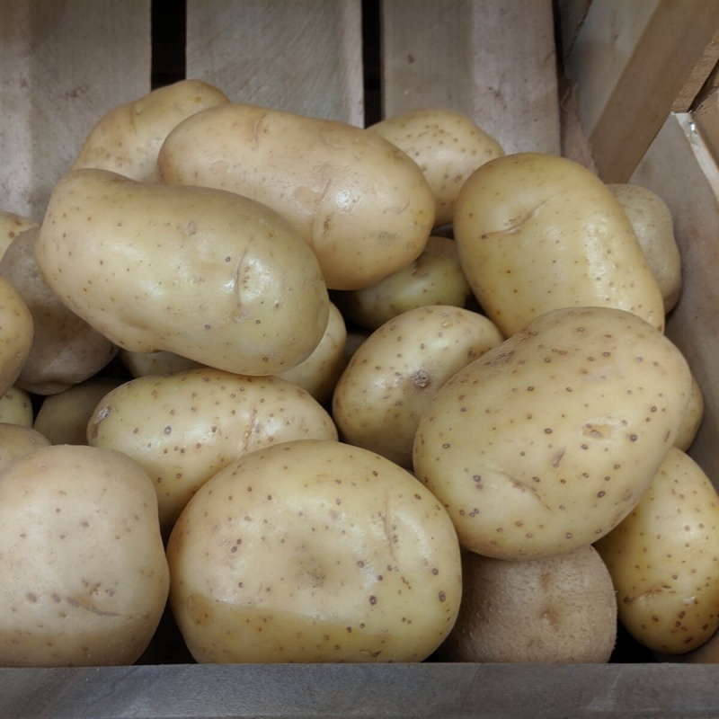 Dried Potatoes, Diced (35 Lbs)