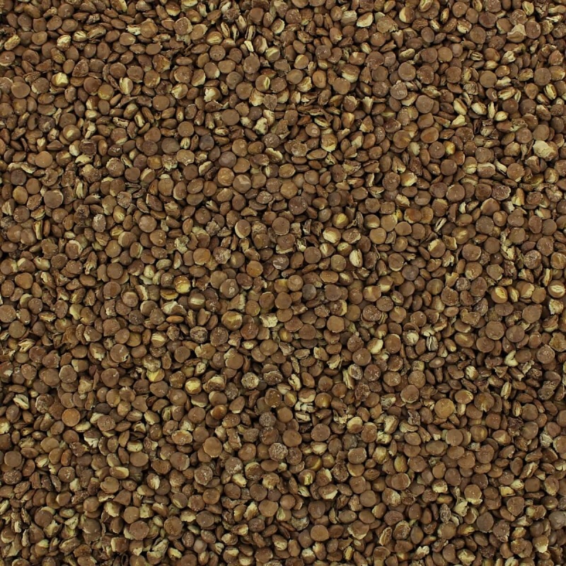Bean & Legume Family Pack (8 Varieties, Gallon Size)