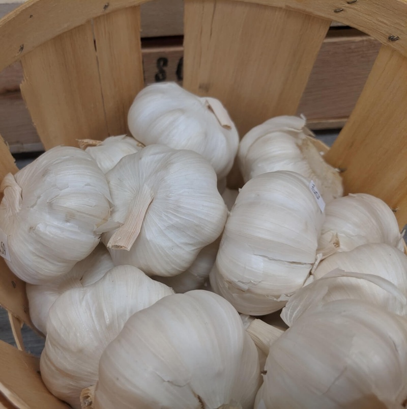 Dried Garlic, Gourmet Minced (50 Lb)
