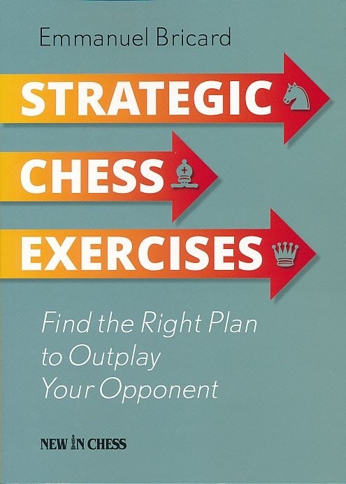 Shopworn - Strategic Chess Exercises