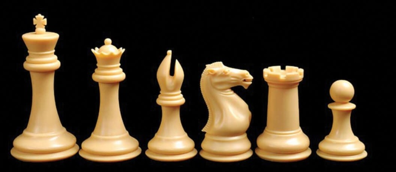 Premium Chess Set Combo - Plastic Chess Pieces | Tournament Chess Board | Deluxe Chess Bag