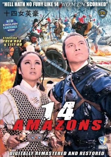 The 14 Amazons Chinese Hong Kong Kung Fu Action Movie DVD - English Language