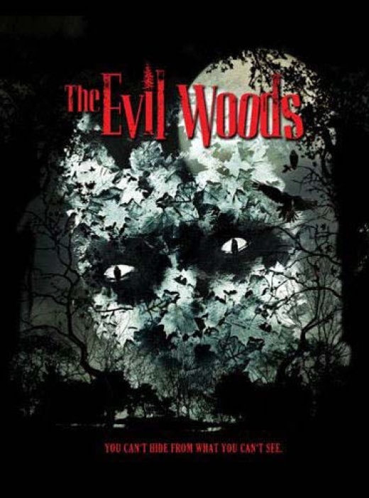 The Evil Woods DVD