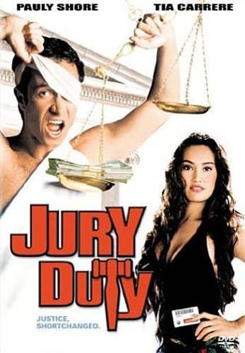 Jury Duty DVD