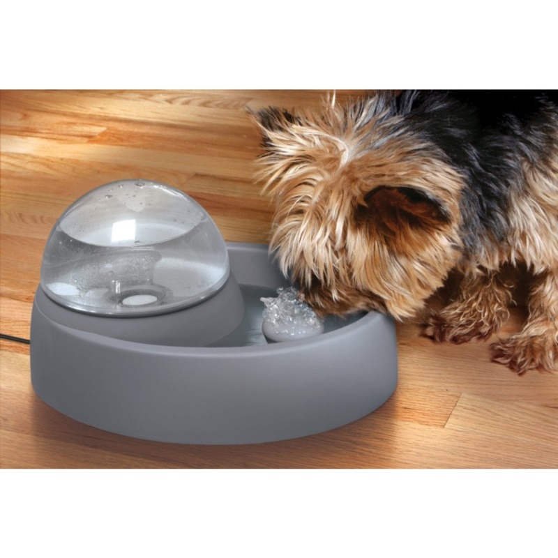 Pet Fountain - Eyenimal By Ideal Pet Products (Continental U.S. Only)