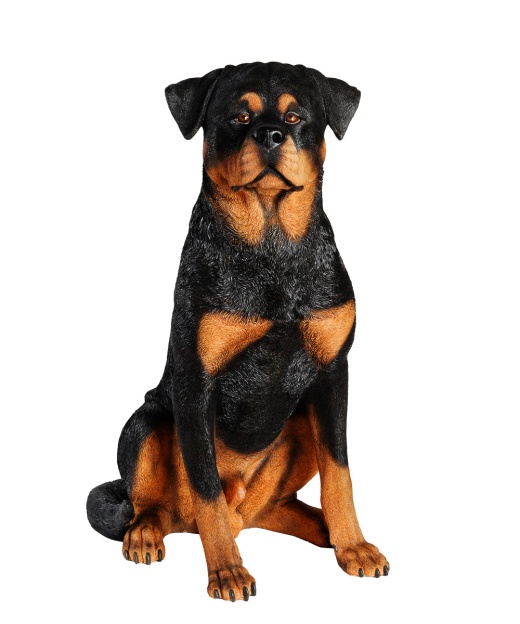 Handmade Rottweiler Statue 1:1 Real Size - Petorama