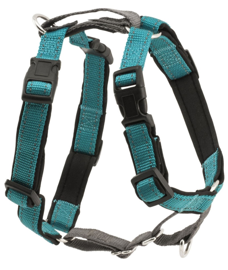 Petsafe 3In1 Harness