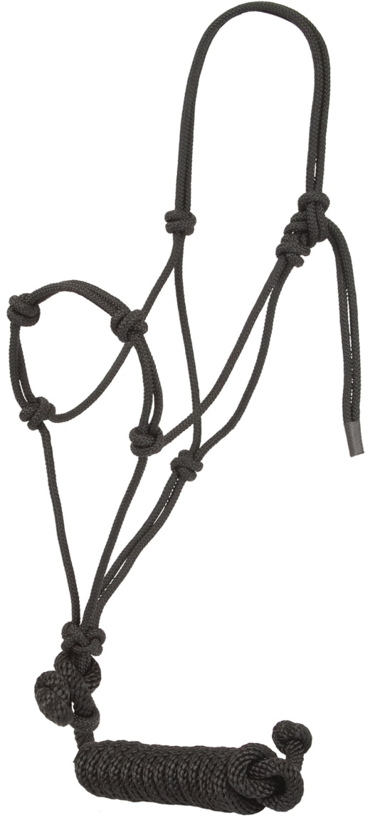 Mustang Knotted Training Halter for Yearlings