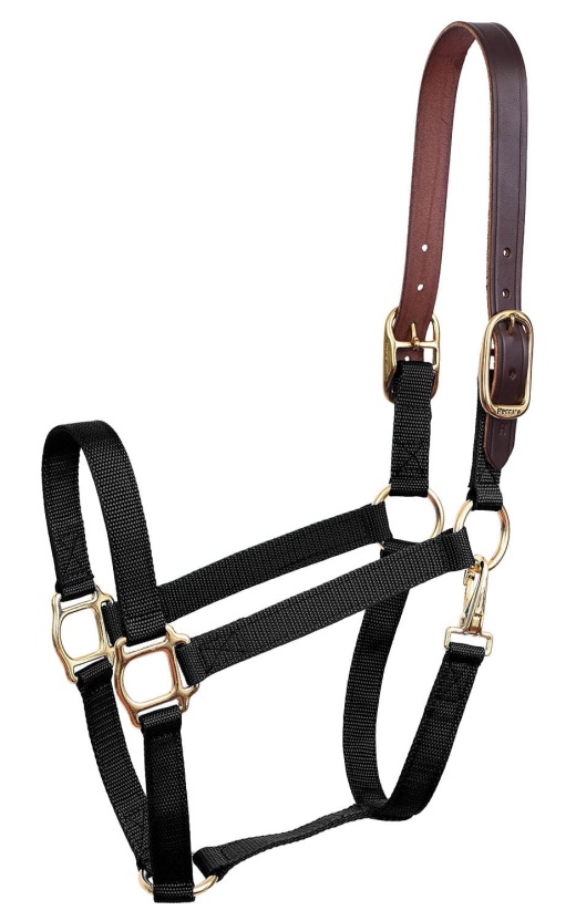 Economy Nylon Safety Horse Halter