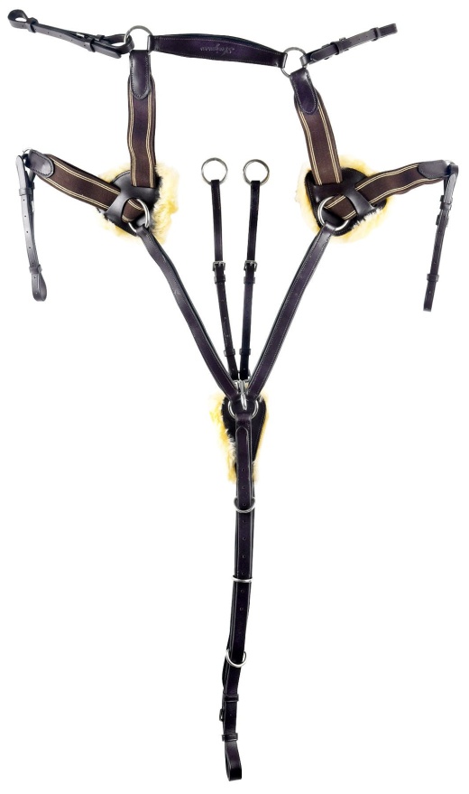 Shires Five Point Breastplate