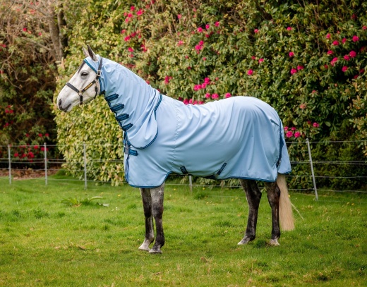 Amigo Ripstop Hoody - Summer Horse Rugs for Sale