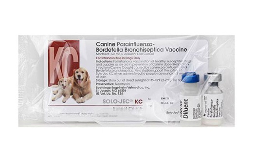 Solo-Jec Kc Intranasal Vaccine for Kennel Cough Protection