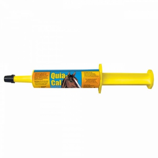 Quia-Cal, 15 Cc Oral Syringe - High Potency Thiamine, Magnesium, and Calcium Supplement for Horses