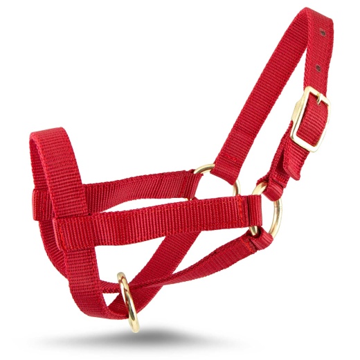 Jeffers Goat Halter Medium (35" - 38") / Red