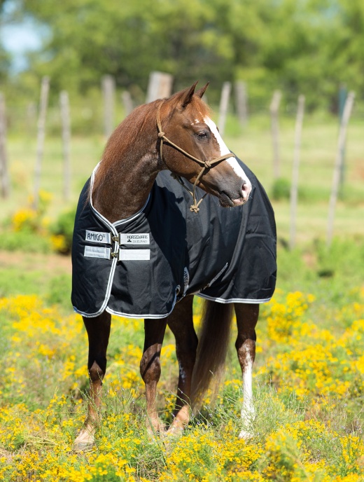 Buy Amigo Stock Horse Lightweight Turnout Sheet Online Waterproof and