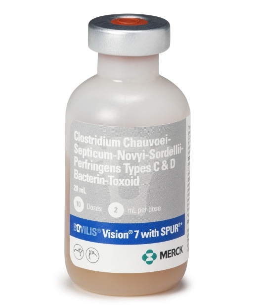 Bovilis Vision 7 with Spur - Effective Blackleg Vaccine for Cattle and Sheep