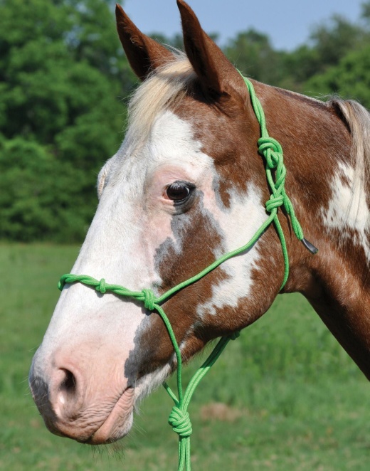 Mustang Twisted Poly Rope Halter
