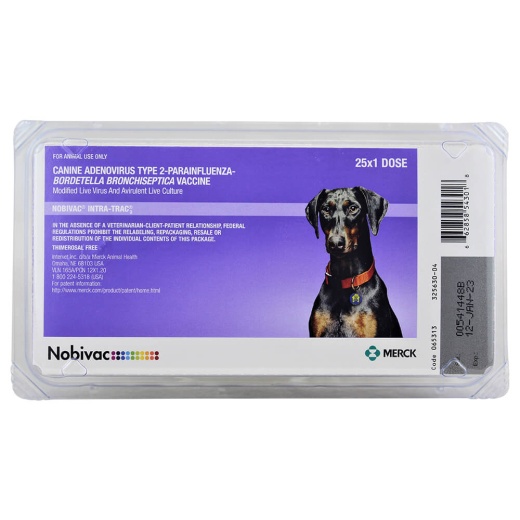 Nobivac Intra-Trac 3 Intranasal Dog Vaccine