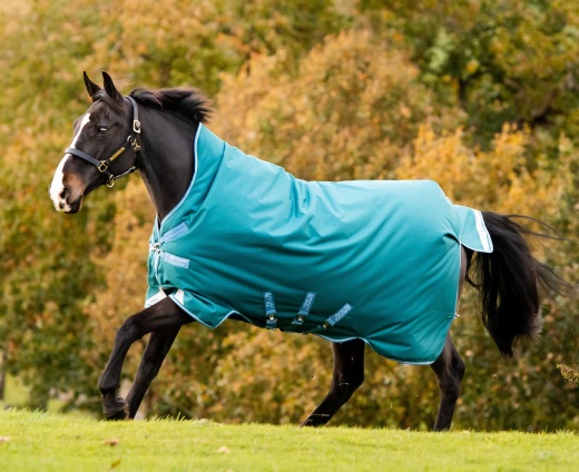 Amigo Bravo 12 Wug Heavy Blanket in Storm Green