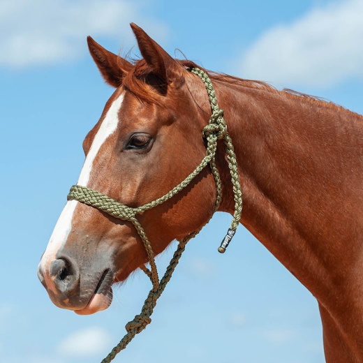 Braided Mule Tape Halter W/ 9' Lead by Cashel