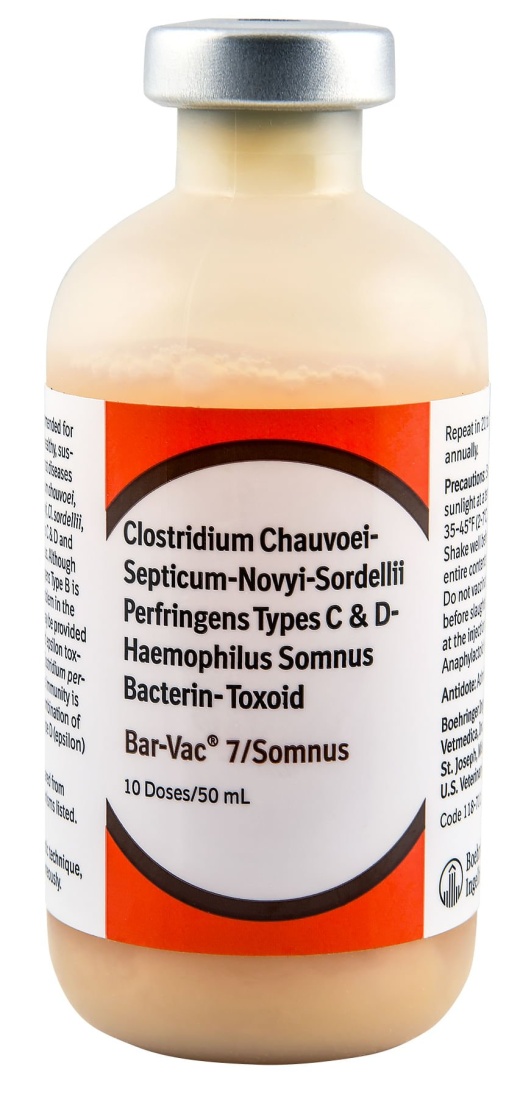 Bar-Vac 7/Somnus Cattle Vaccine
