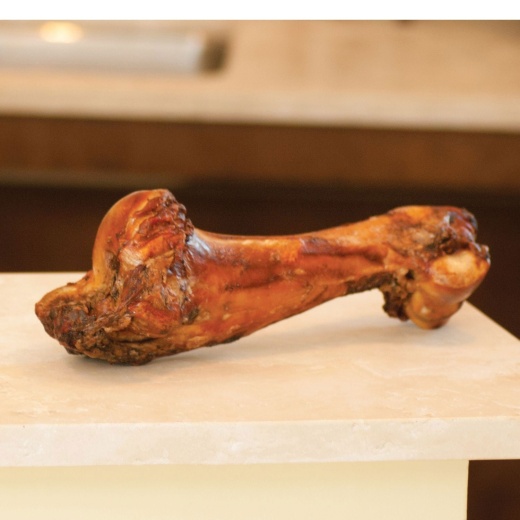 Dino Bone, 12" - 14"l | Natural Beef Arm Bone for Medium to Large Dogs