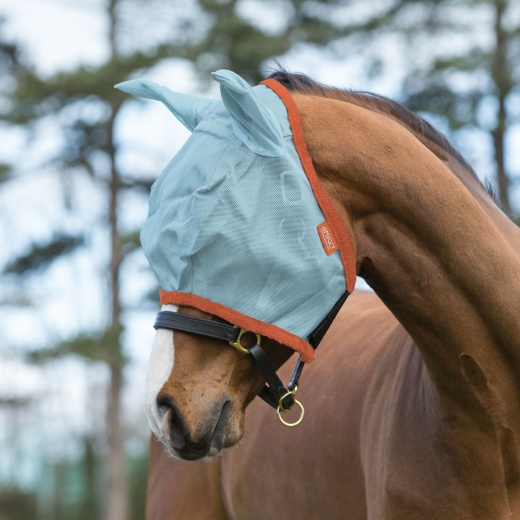 Amigo Fly Mask in Aqua/Orange