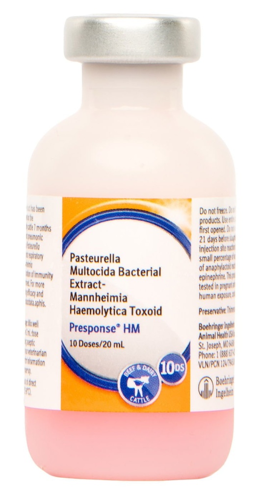 Presponse HM - Effective Prevention of Pneumonic Pasteurellosis in Cattle
