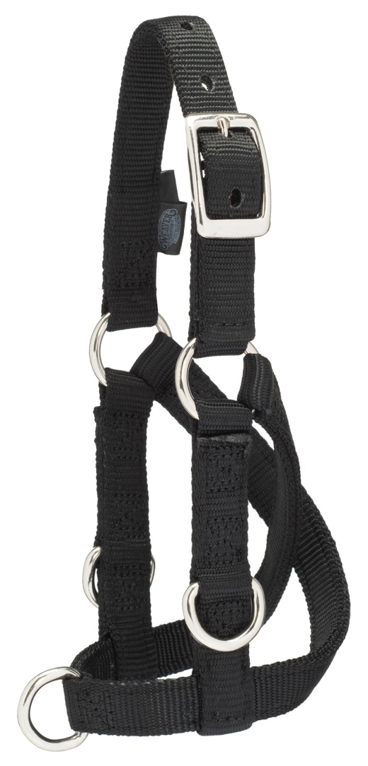 Sheep/Goat Treadmill Halter Medium