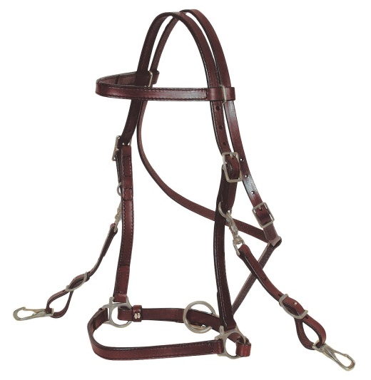 Circle Y 3/4" Trail Halter Bridle Full