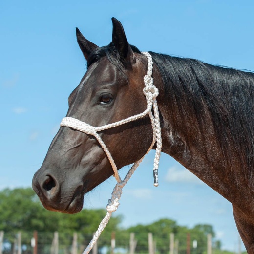 Braided Mule Tape Halter W/ 9' Lead by Cashel