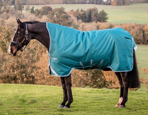 Amigo Bravo 12 Wug, 1200D, Lite, Storm Green Horse Blanket
