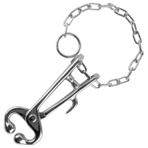 Jeffers Bull Nose Lead With Chain - Perfect for Cattle Handling and Control