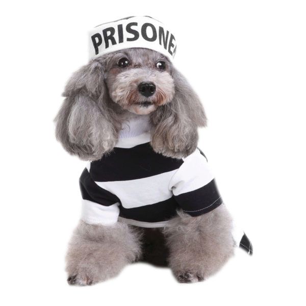 Prisoner Pet Costume, Pack Of 2