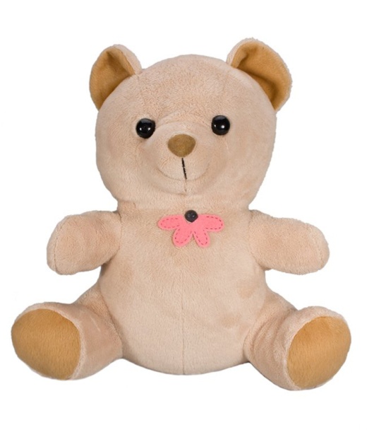 Sg Xtreme Life Teddy Bear Camera - Spy Camera for Home Security