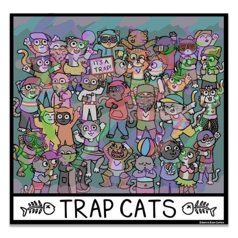 "Trap Cats" Magnet - 1 Magnet