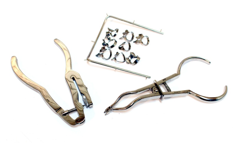 11 Pcs Of Starter Rubber Dam Kit Stainless Steel