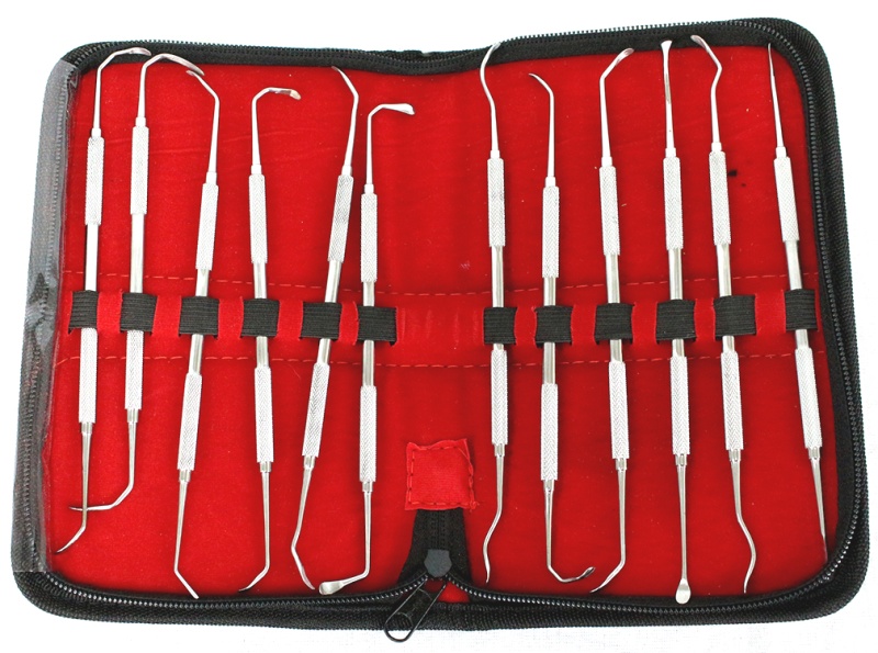 12 Pcs Sinus Lift Instruments Set Implant Dental Solid Handle Light Weight