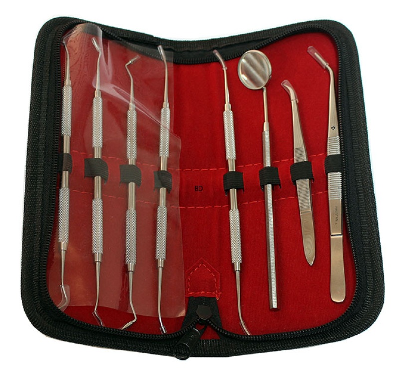 8 Pc Dental Instruments Pk Thomas Plus