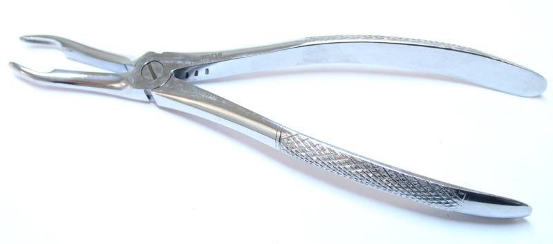 46 Stainless Steel Extracting Forceps