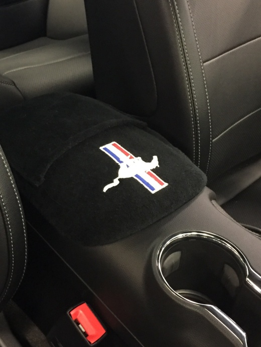 Mustang 2015-2016 Tribar Console Cover