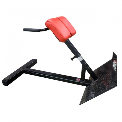 45 Degree Hyperextension