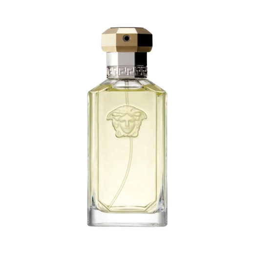 Versace Dreamer