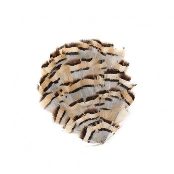 Natural Partridge Plumage Feather Pad