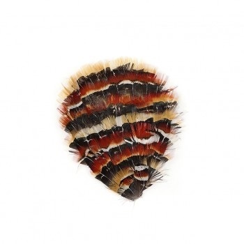 Natural Amber, Iridescent Bronze & Red Lady Amherst Pheasant Feather Pad