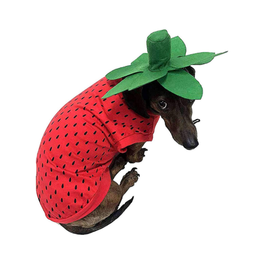 Midlee Strawberry Dog Costume