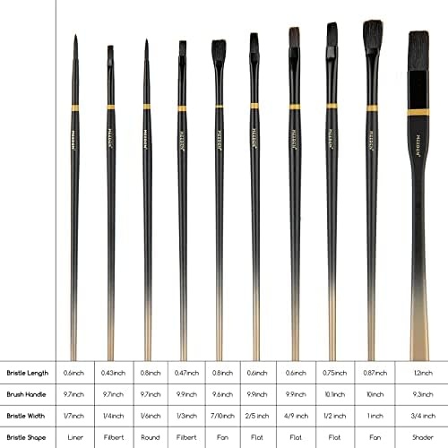 Meeden Professional Paint Brushes Set, 10 Pcs Long Handled Artist Paint  Brushes For Oil,Acrylic,Watercolor Painting, Hog Bristle Oil Paint Brushes  Of Liner,Filbert,Round,Fan,Flat,Shader With Box