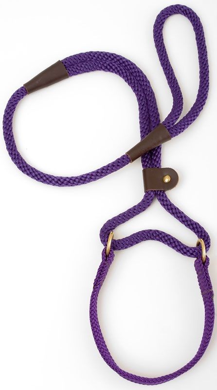 Mendota Dog Walker - Large 1/2 Inch - Purple / 4 Feet