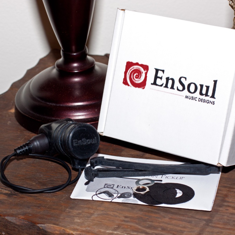Ensoul Pan Pickup External 18-Inch Lead With Mount